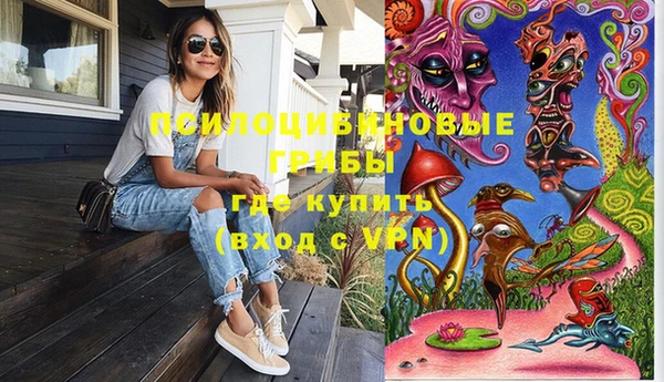 герыч Гусь-Хрустальный