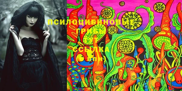 прущая мука Дмитров