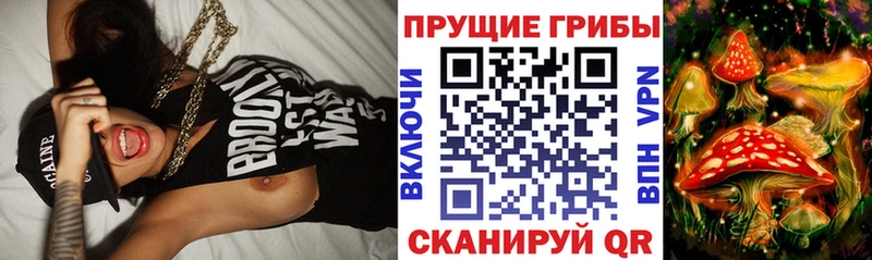 Псилоцибиновые грибы Cubensis  наркотики  Избербаш 